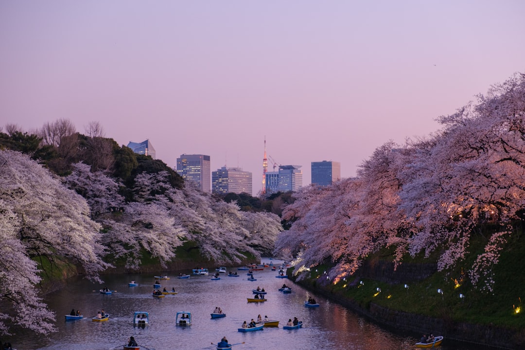 One Day in Tokyo