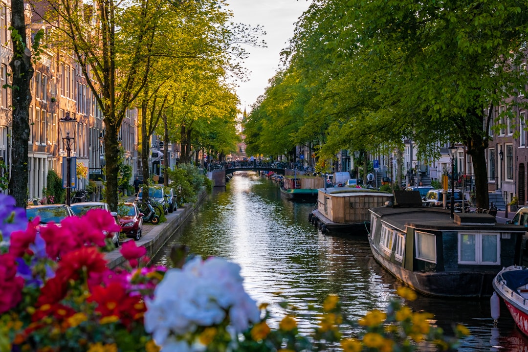 Amsterdam Tulips and Keukenhof
