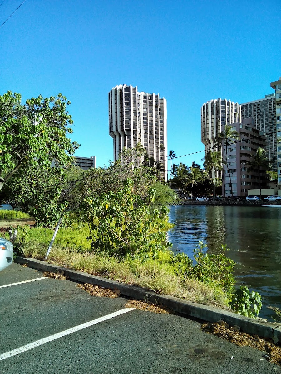 Hawaii: Oahu and the North Shore