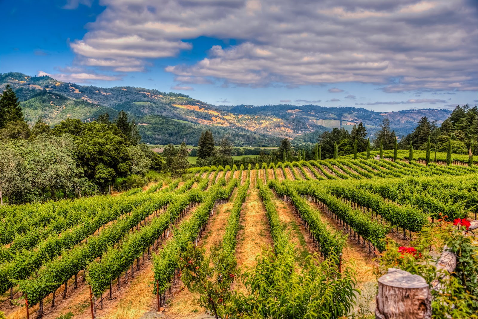 Napa Valley Wine Country Weekend